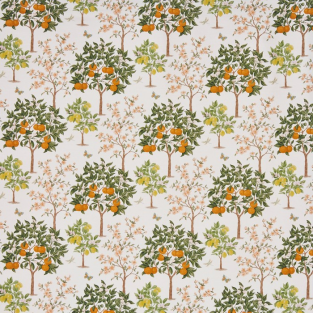 Prestigious Lemon Grove Pear (pts110) Fabric